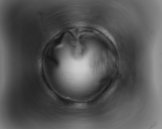 X0000093210057200710101334