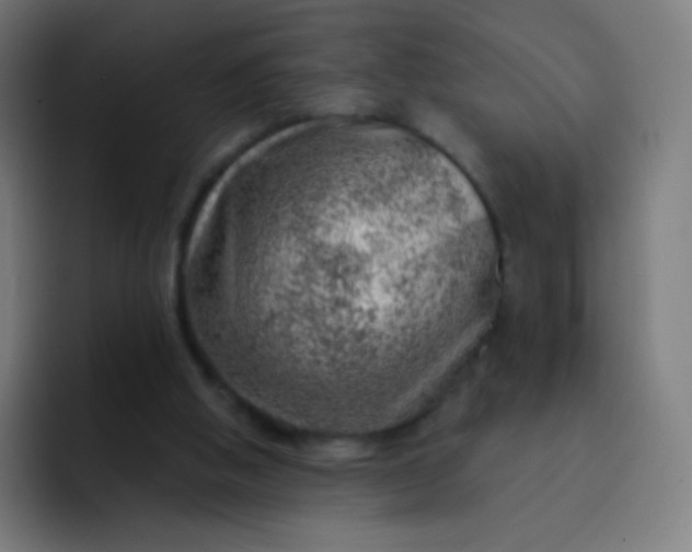 X0000093210058200710101334