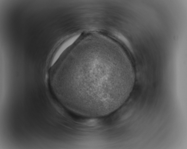 X0000093210059200710101334