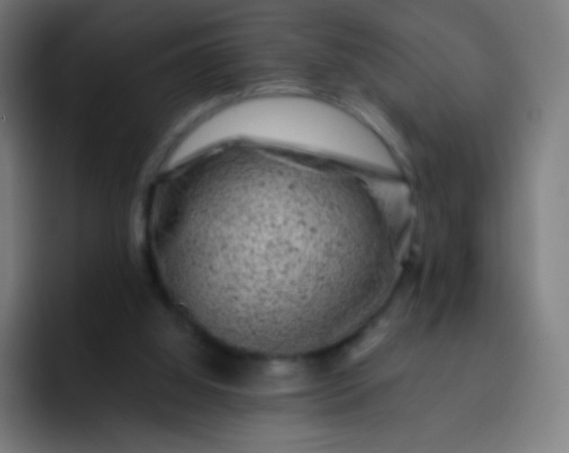 X0000093210060200710101334