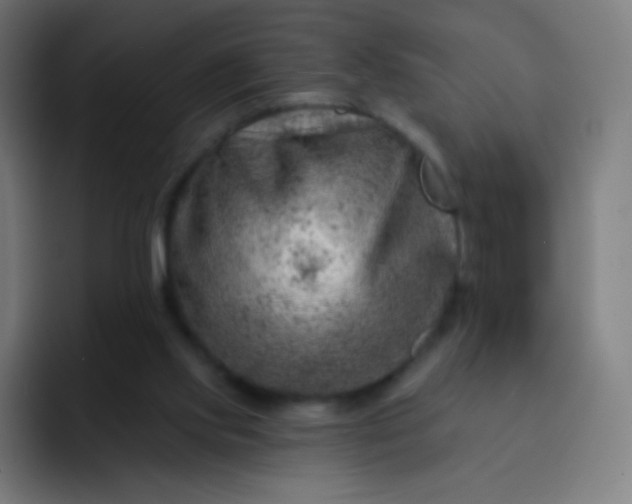 X0000093210061200710101334