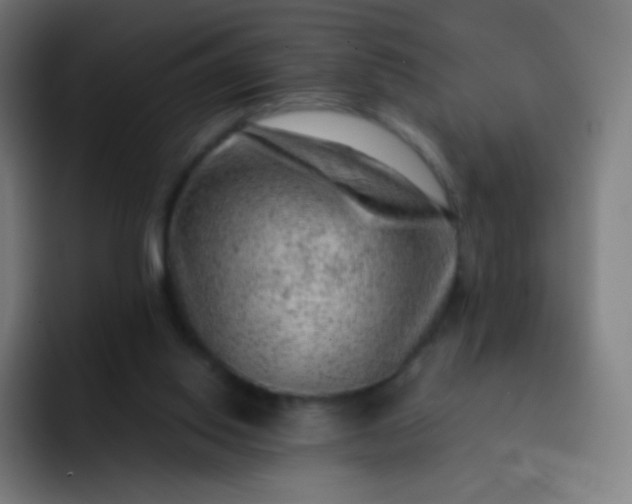 X0000093210062200710101334