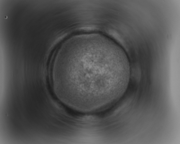 X0000093210063200710101334