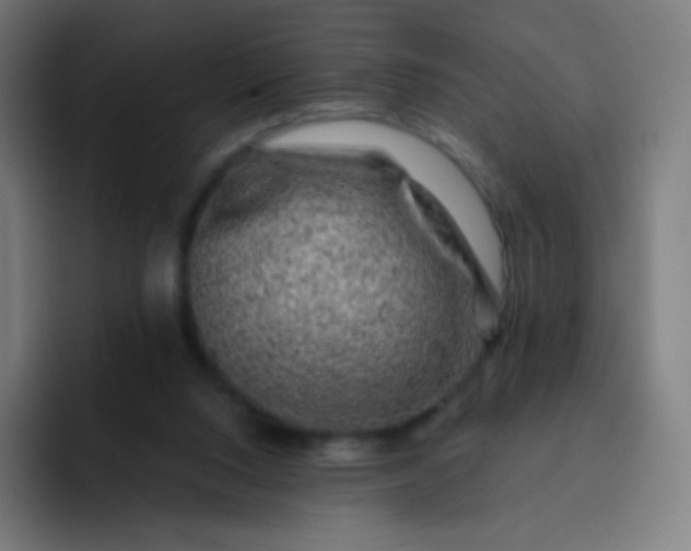 X0000093210064200710101334