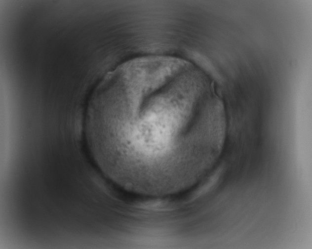 X0000093210065200710101334