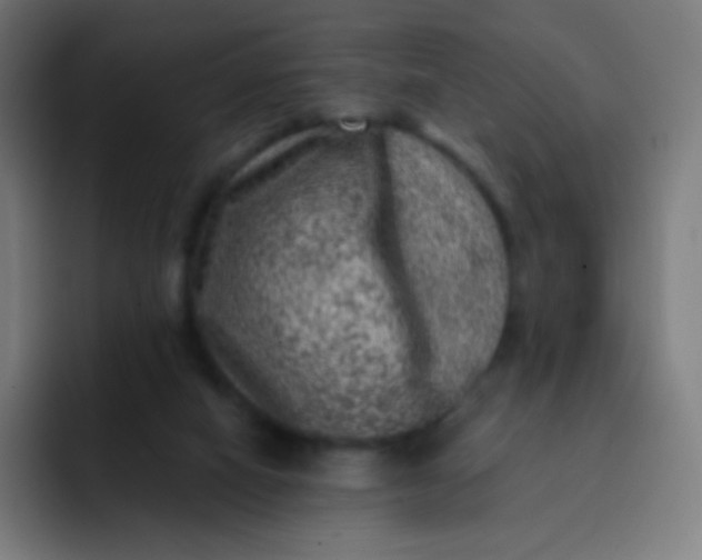 X0000093210066200710101334