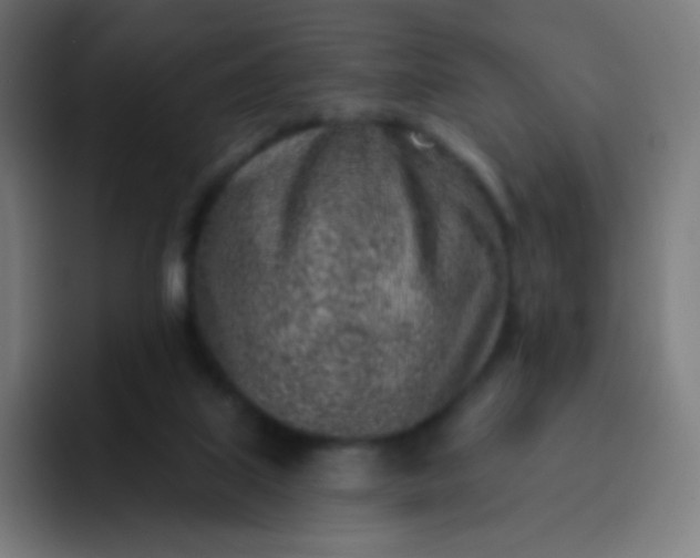 X0000093210067200710101334