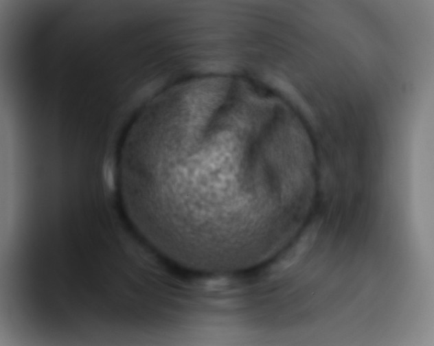 X0000093210068200710101334