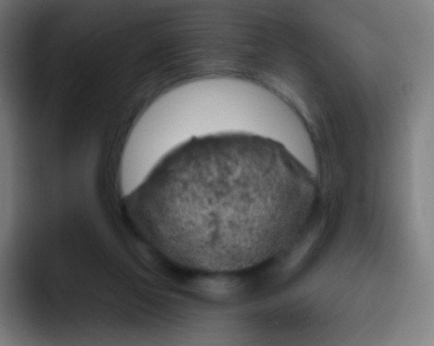 X0000093210069200710101334