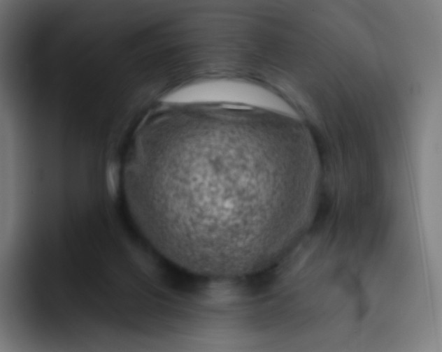 X0000093210070200710101334