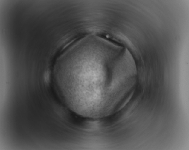 X0000093210071200710101334