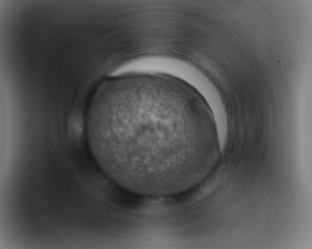 X0000093210072200710101334