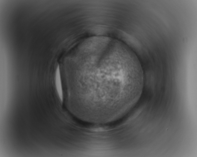 X0000093210073200710101334