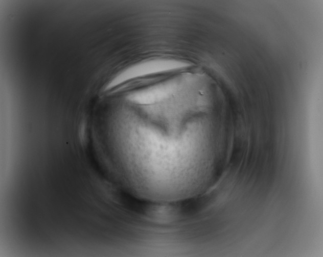 X0000093210074200710101334