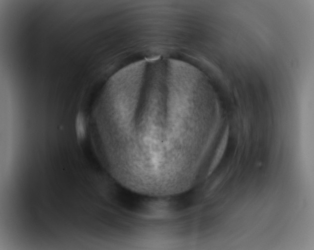 X0000093210075200710101334