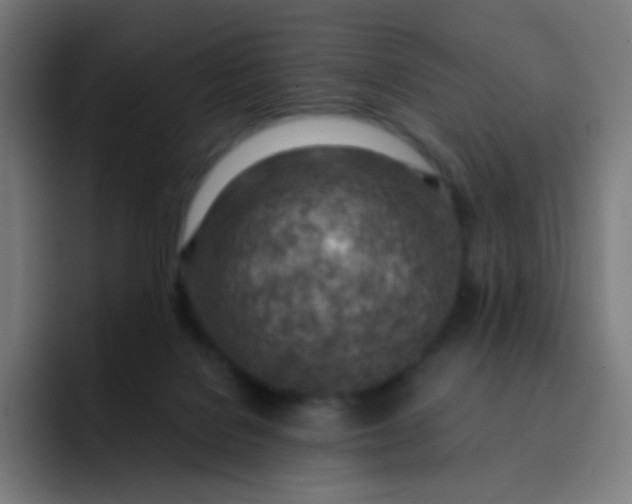 X0000093210076200710101334