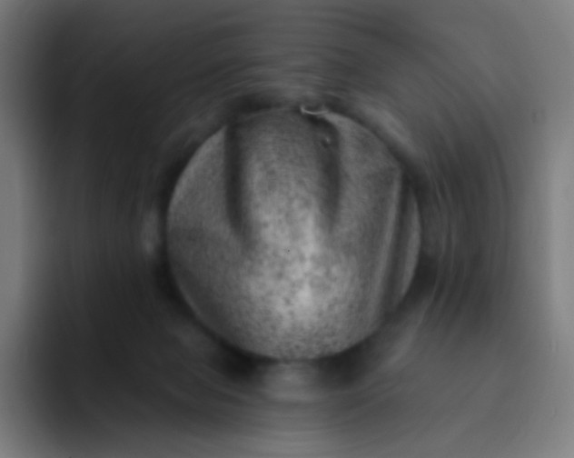 X0000093210077200710101334