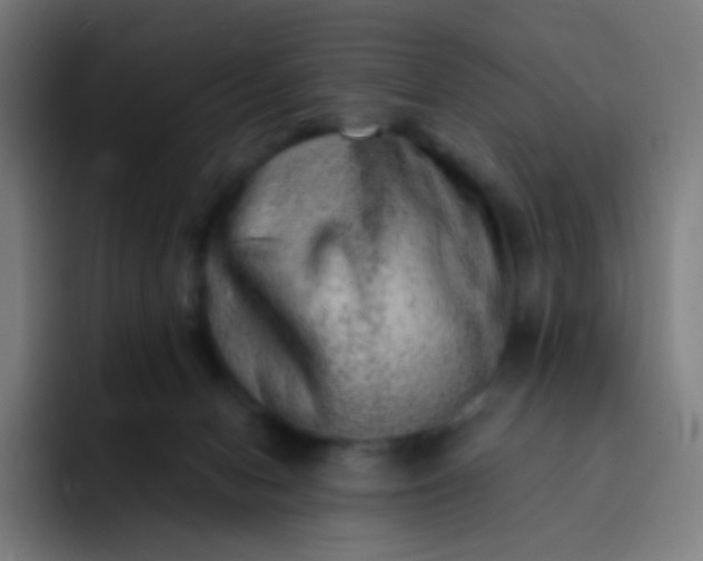 X0000093210078200710101334