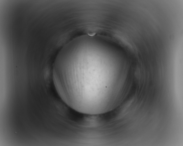 X0000093210079200710101334