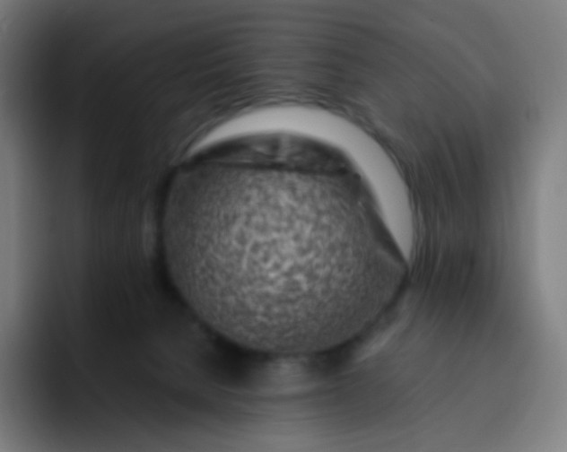 X0000093210080200710101334