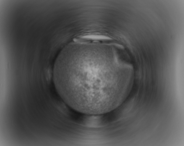 X0000093210081200710101334