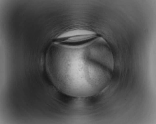 X0000093210082200710101334