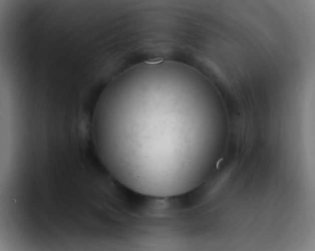 X0000093210083200710101334