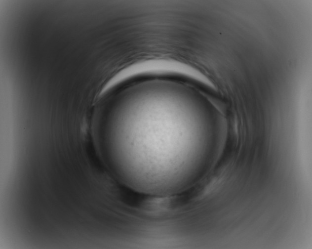 X0000093210084200710101334