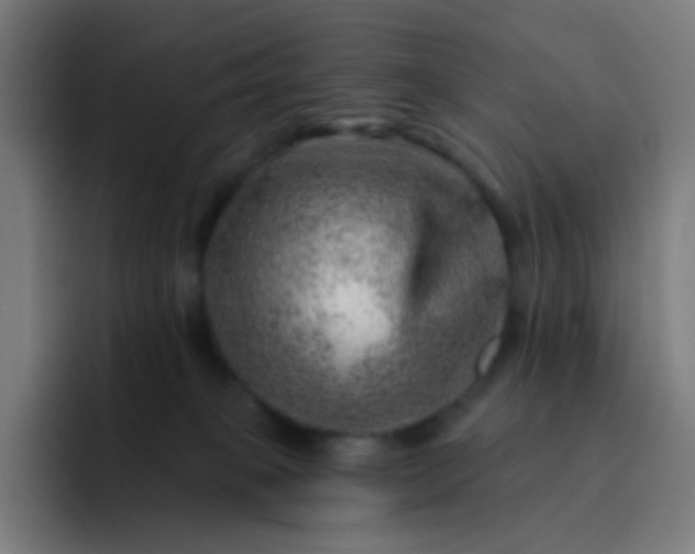 X0000093210085200710101334