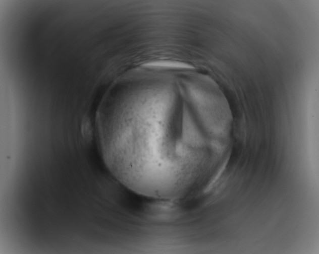 X0000093210086200710101334