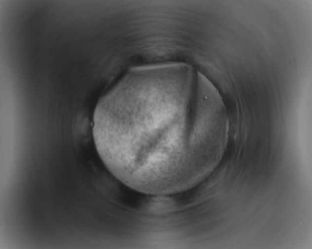 X0000093210087200710101334