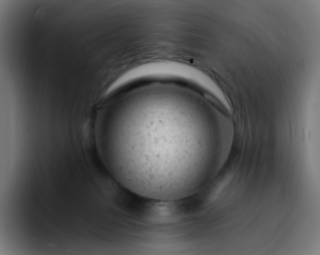 X0000093210088200710101334