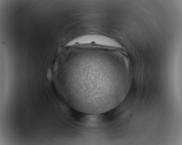 X0000093210089200710101334