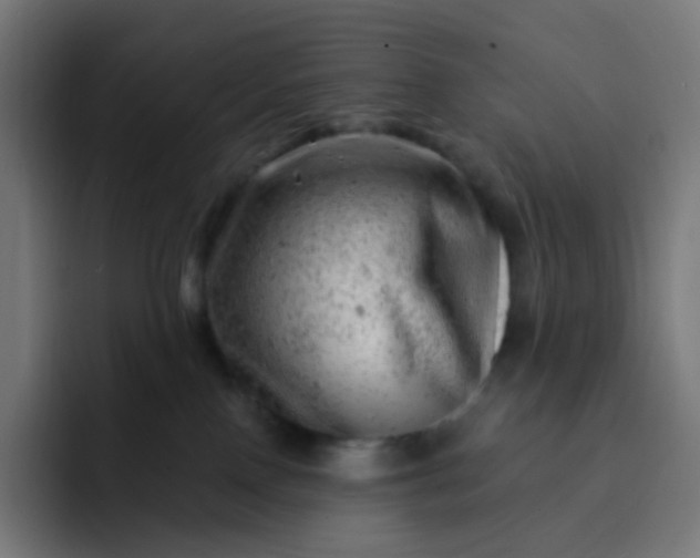 X0000093210090200710101334