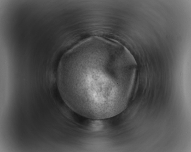 X0000093210091200710101334