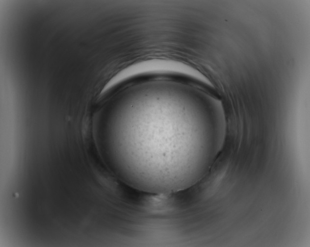 X0000093210092200710101334