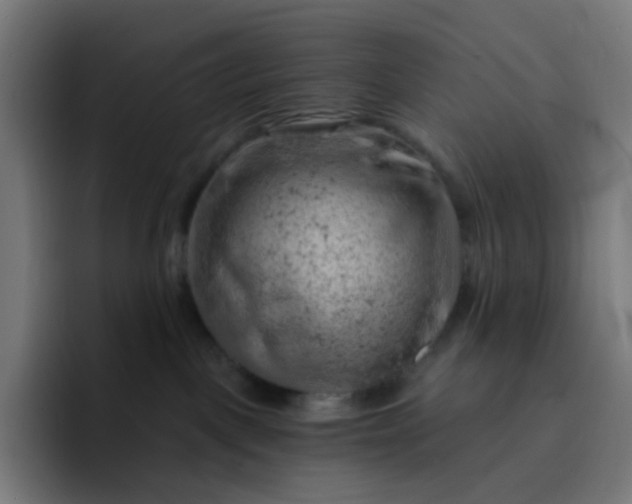 X0000093210093200710101334