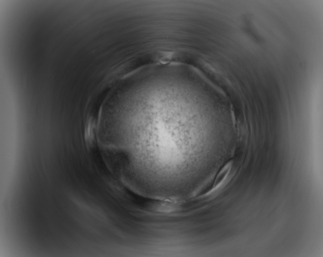 X0000093210094200710101334