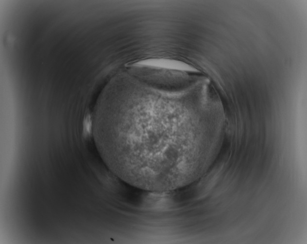 X0000093210095200710101334