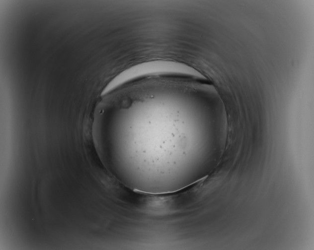 X0000093210096200710101334