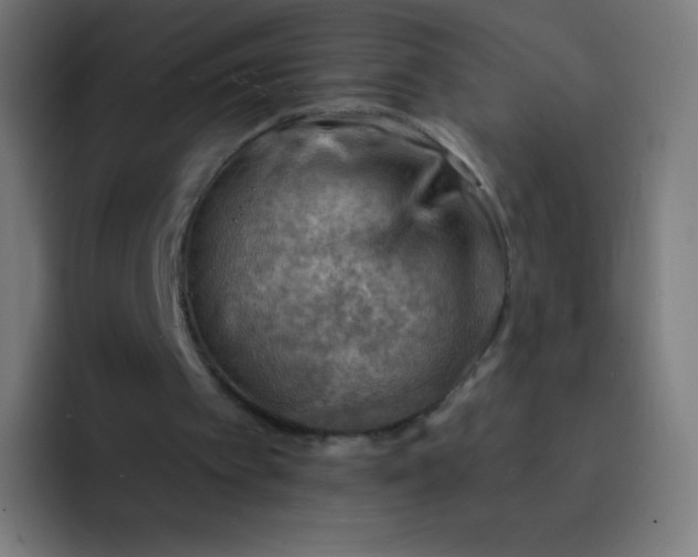 X0000093210097200710101334