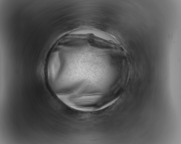 X0000093210098200710101334