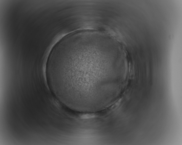 X0000093210099200710101334