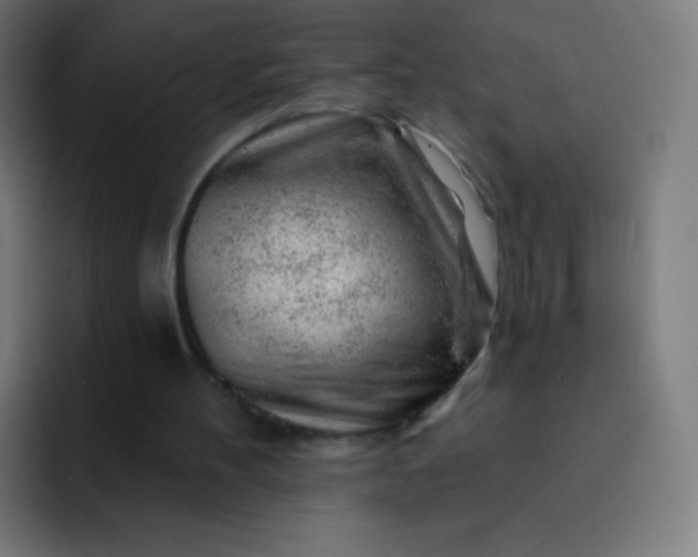 X0000093210100200710101334