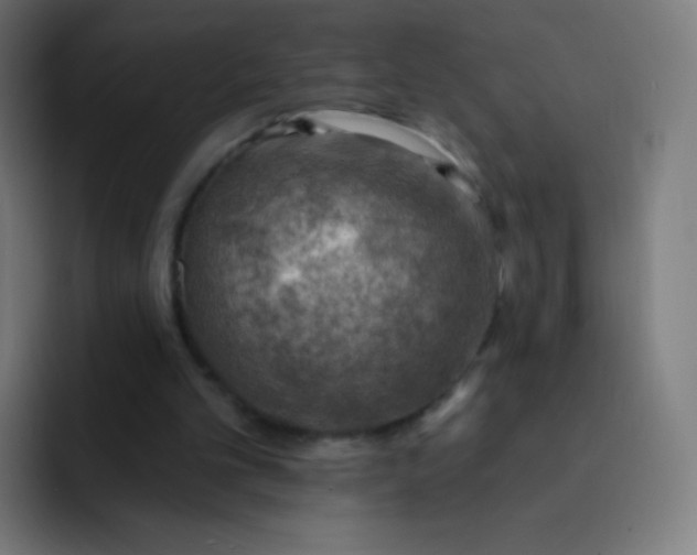 X0000093210101200710101334