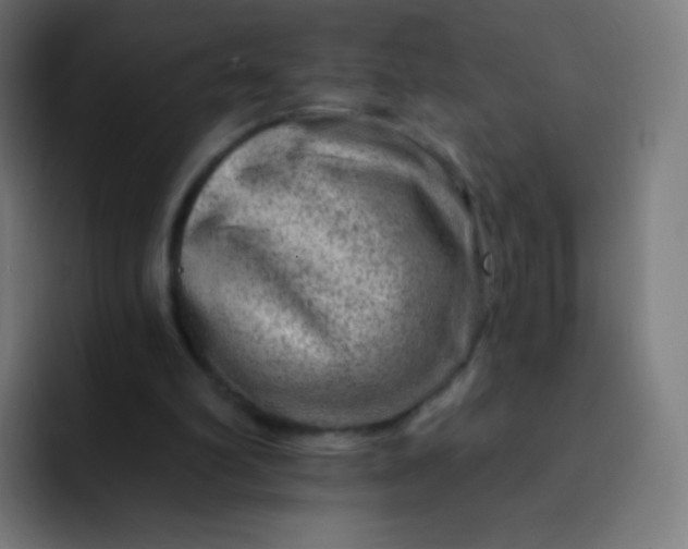 X0000093210102200710101334