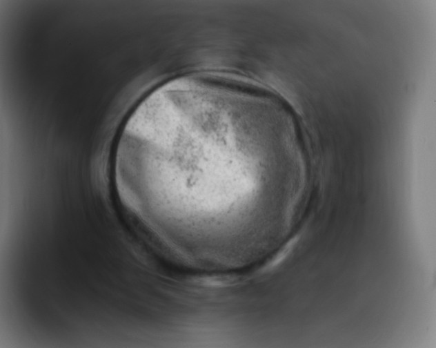 X0000093210103200710101334