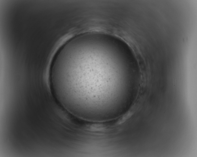 X0000093210104200710101334