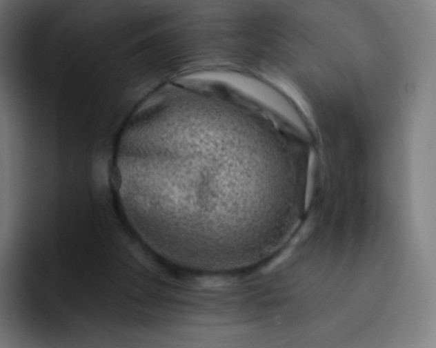 X0000093210105200710101334