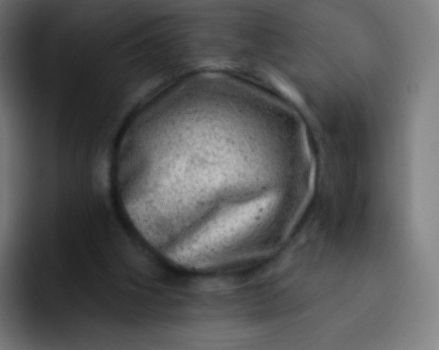 X0000093210106200710101334